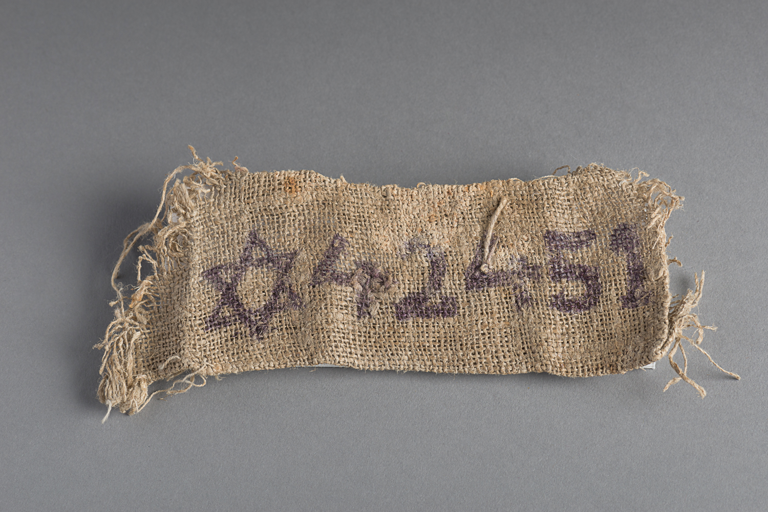 This identification tag was given to Rosa Pliskin-Sokolinski upon her arrival at Stutthof camp. (Photo: Peter Berra)